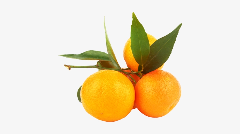 Tangerine, transparent png download