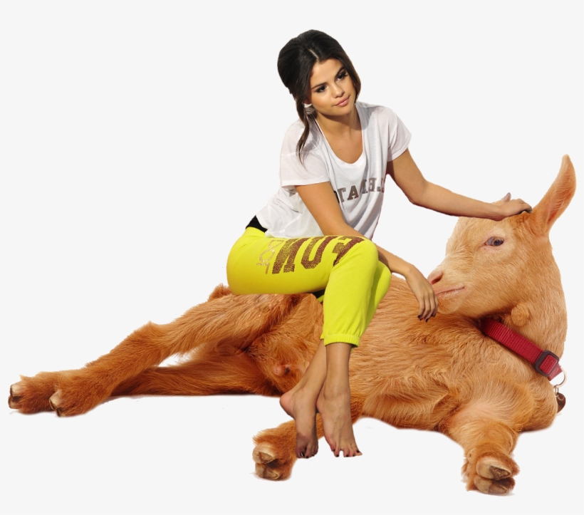 Selena Having A Relaxing Goat Sit - Golden Guernsey, transparent png download