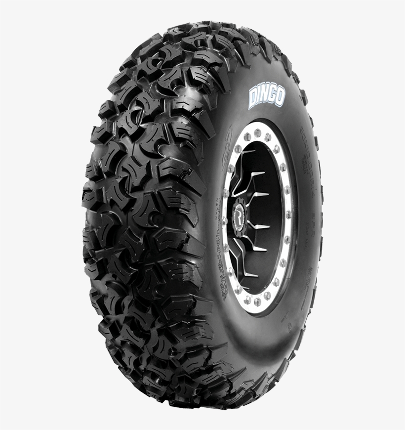 Cst Dingo, transparent png download