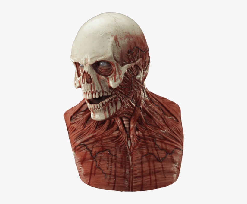 Yorick The Skull Silicone Mask - Mask Face Skull Silicone, transparent png download