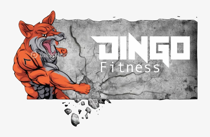 Physical Fitness, transparent png download