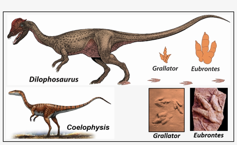 Our Geological Wonderland - Geology, transparent png download