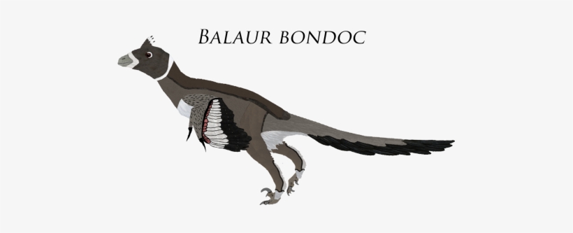 Alpha-dilophosaurus - - Ring-necked Pheasant, transparent png download