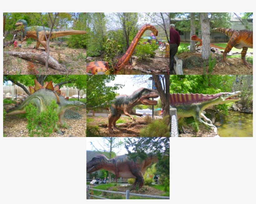 Along The Way We Saw - Tyrannosaurus, transparent png download