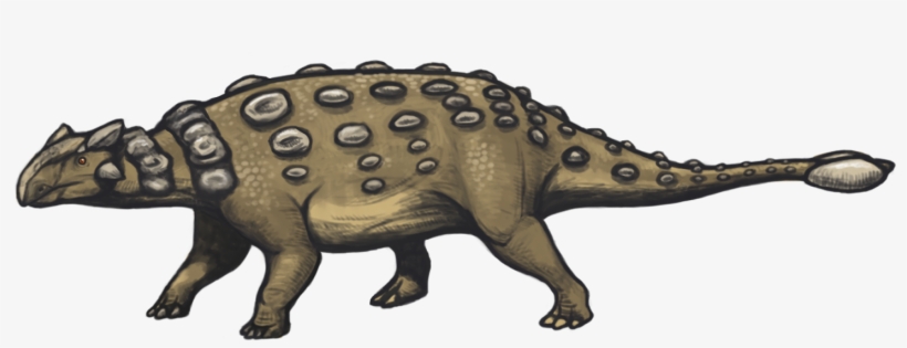 10 Facts About Ankylosaurus - Ankylosaurus Tail, transparent png download