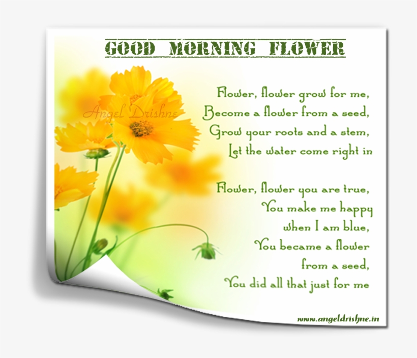 Good Morning America Is An American Morning Television - Love Mornings That Start Late, Very Late. The Later, transparent png download