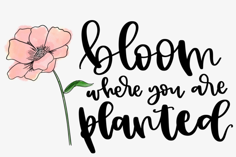 Bloom Where You Are Planted - Printable Bloom Where You Are Planted, transparent png download