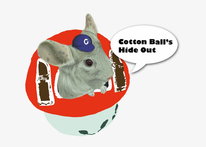Student, transparent png download
