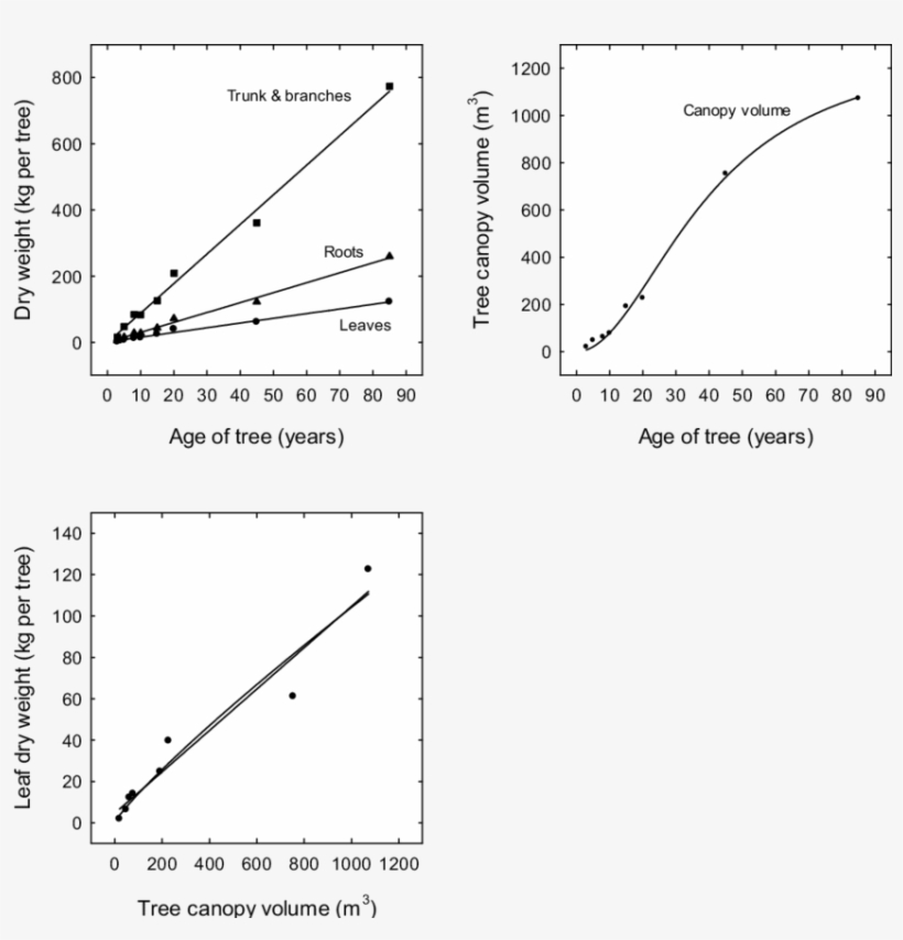 Changes In Vegetative Growth And Tree Canopy Volume - Diagram, transparent png download