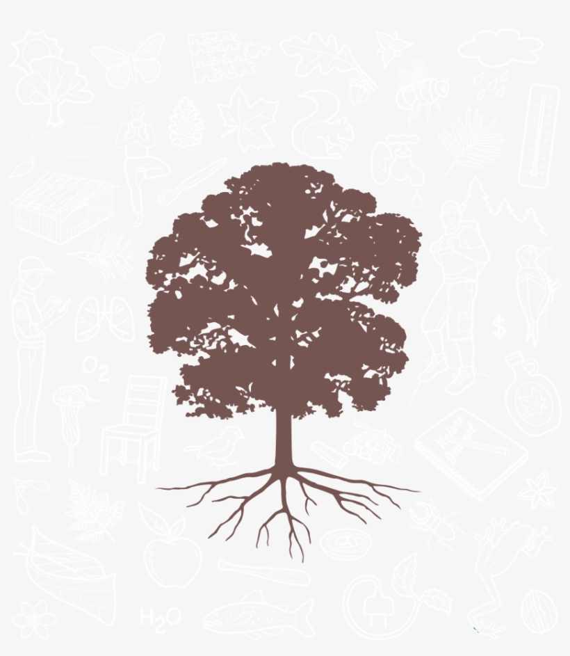 Icons Of Ways We Benefit From Trees - Tree, transparent png download