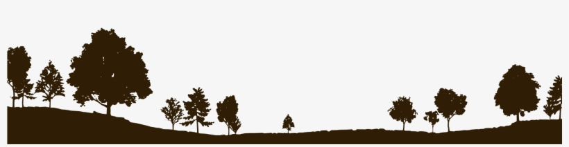 Contact Us - - Tree Landscape Silhouette, transparent png download