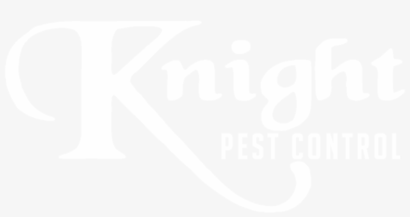 Cat, transparent png download