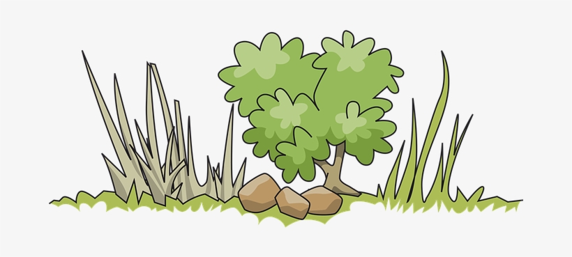 Border Bush Garden Grass Green Nature Tree - Green Bushes Cliparts, transparent png download