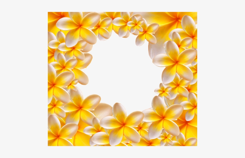 Photo Frame - Yellow Flowers - Ukrasni Okviri Za Tekst, transparent png download