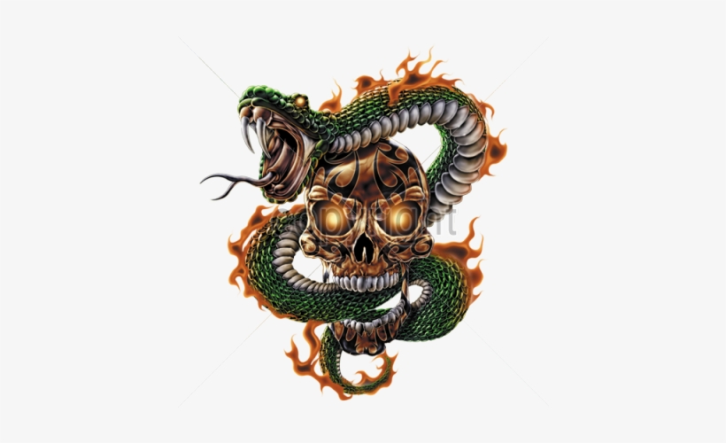 Click Here For Apparel Pricing - Skull And Snake With Fire, transparent png download