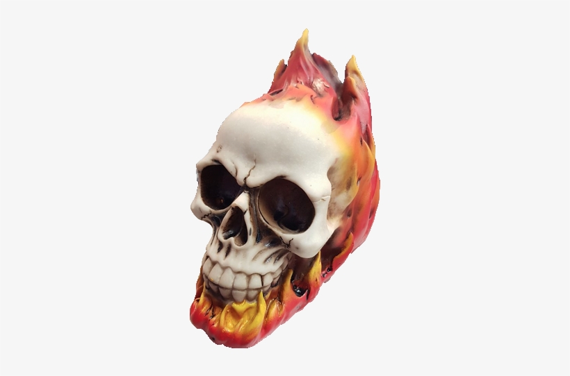 Flaming Fire Skull Money Box - Money, transparent png download