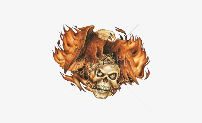 You Are On Page 1 Of - Eagle Skull, transparent png download