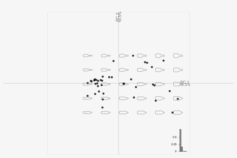 Examples - Number, transparent png download