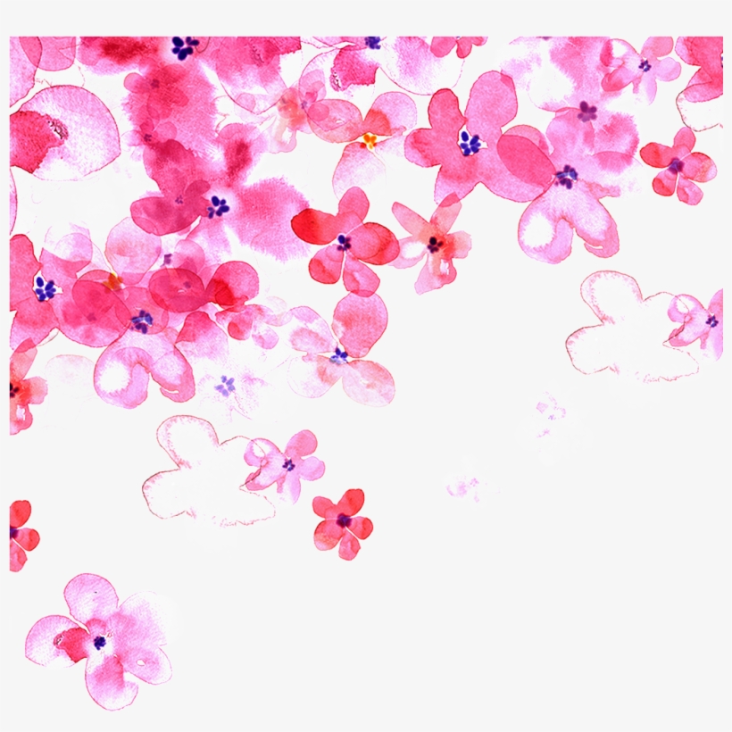 Hand Painted Pink Cherry Blossom Transparent Decorative - Women's Background, transparent png download