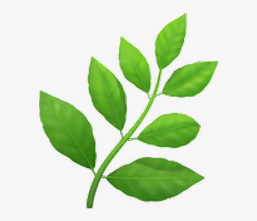 Transparent Herb Emoji, transparent png download
