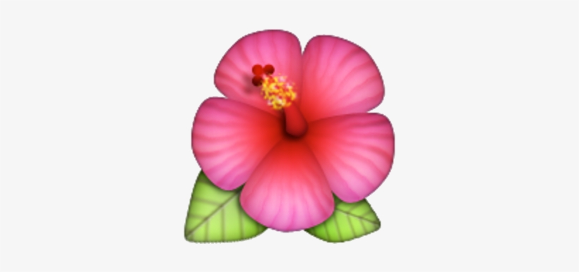 209kib, 640x480, Cb573298 Cf19 4681 A2f9 91688ce49dd1 - Hawaiian Flower Emoji Png, transparent png download
