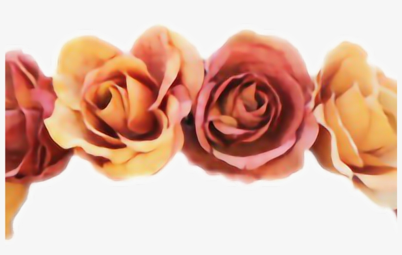 Flower Flowercrown Orange Crown Red Oprah Yellow - Flower Crown Cut Out, transparent png download