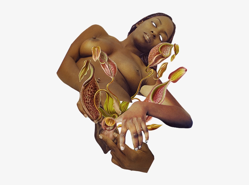 But The Rules Are Different - Illustration, transparent png download