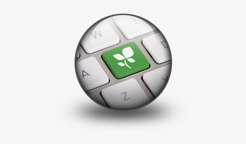 Are Getting Smarter When It Comes To Getting Rid Of - Green, transparent png download