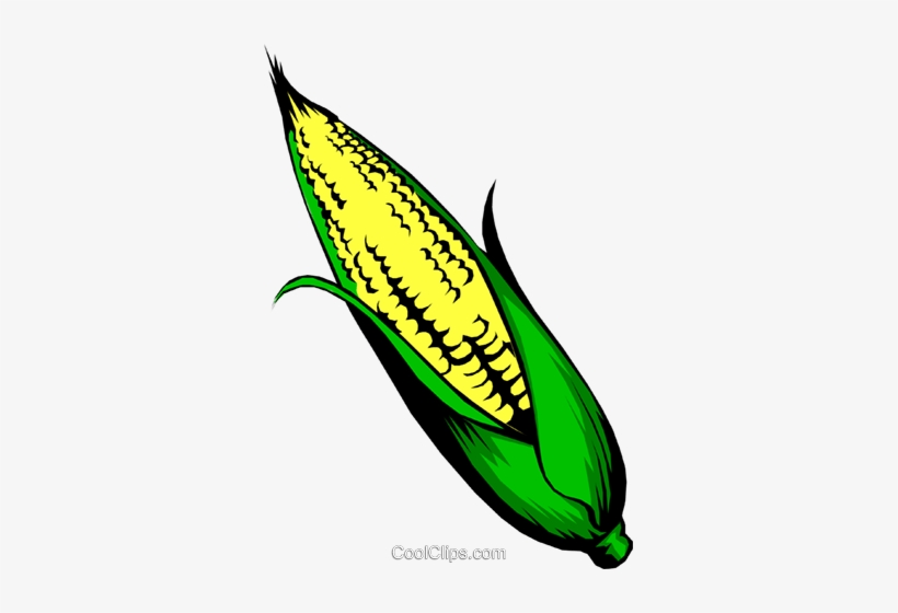 Milho Em Espiga Livre De Direitos Vetores Clip Art - Illustration, transparent png download
