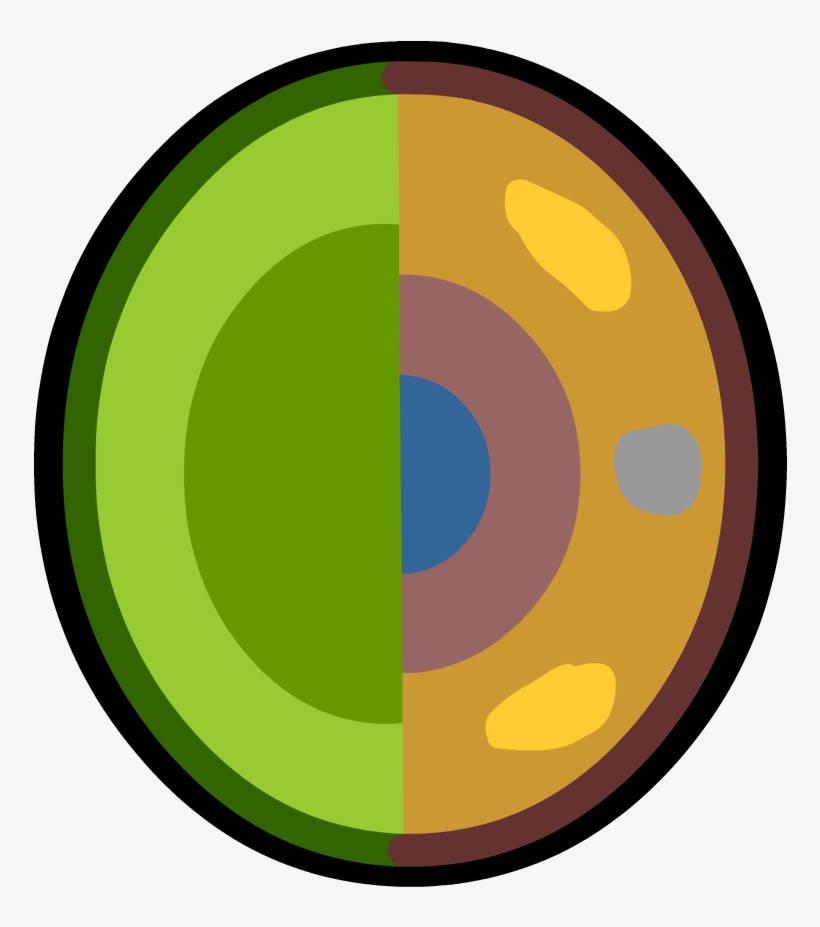 Cell Specialization - Cell, transparent png download