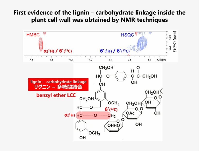 Direct Evidence For Α Ether Linkage - Diagram, transparent png download