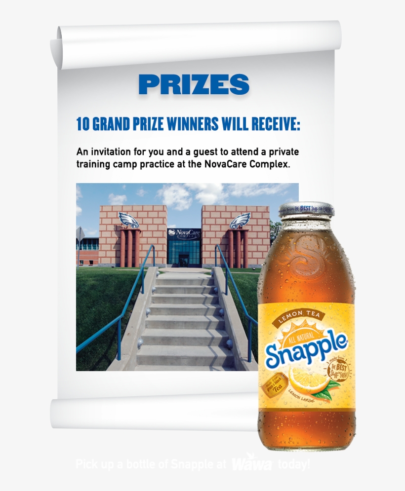 Sorry To Inform You That Snapple Fresh For Training - Snapple Lemon Tea - 12 Pack, 16 Fl Oz Bottles, transparent png download