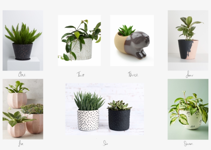 Top 10 Planters, transparent png download