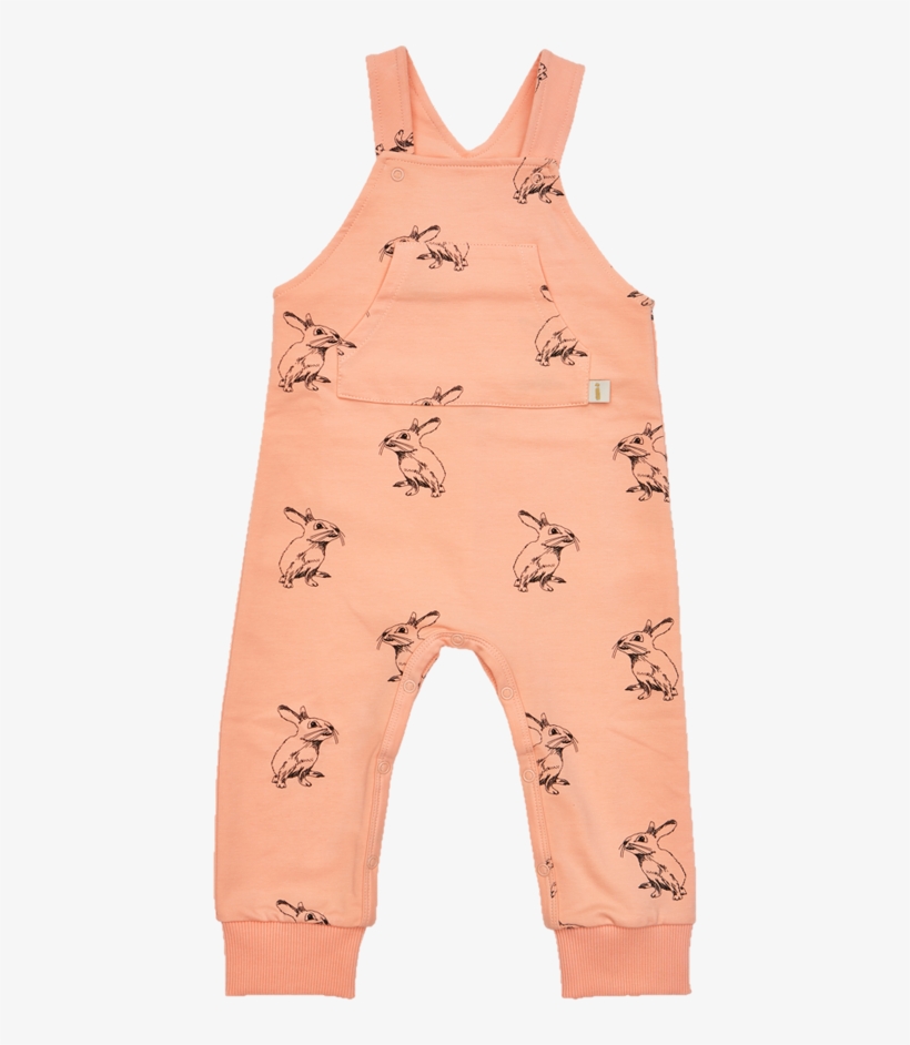 One-piece Garment, transparent png download