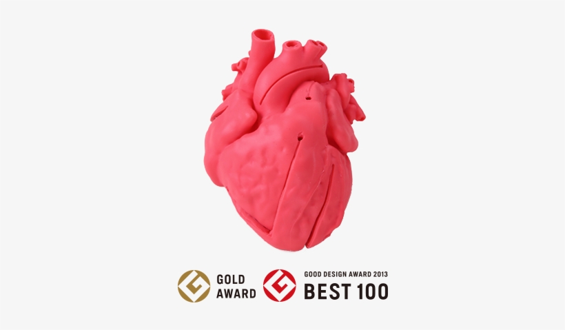 1 Incredibly Realistic Model Made From 100 Images - Ventricular Septal Defect, transparent png download