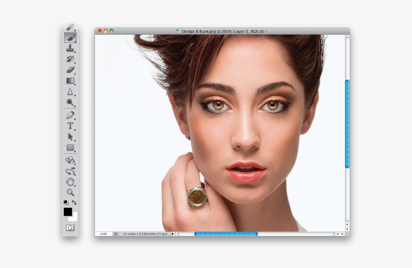Sculpting The Face By Dodging & Burning In Photoshop - Photoshop, transparent png download