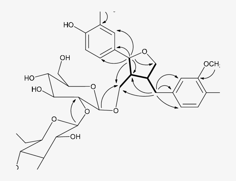 Key 1 H-1 H Cosy And Hmbc (arrow) - Line Art, transparent png download