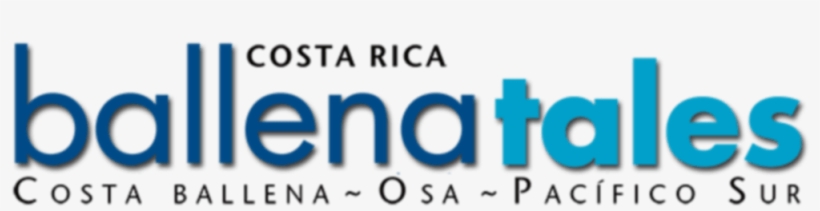 Need Help Planning Your Next Trip To Costa Rica We - Graphics, transparent png download