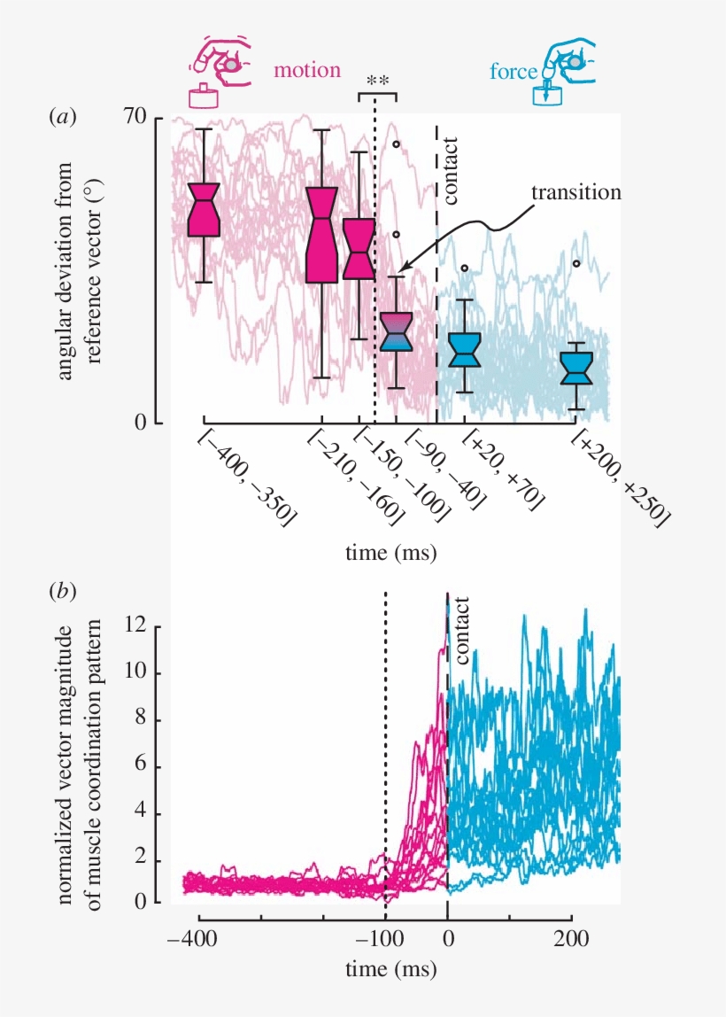 Adapted From Venkadesan & Valero Cuevas - Electromyography, transparent png download