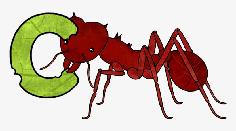 Style Books - Book, transparent png download