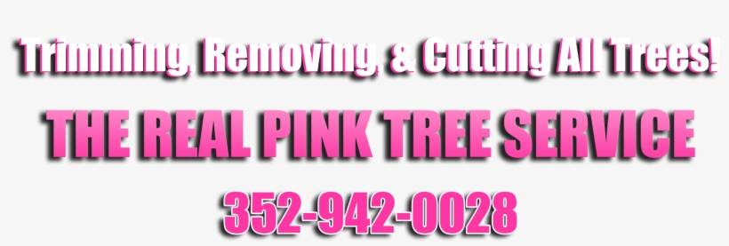 Top Tree Service Of Spring Hill - Lilac, transparent png download