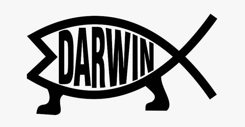 Contrary To What Most People Assume, The Big Bang Theory - Evolution Clipart, transparent png download