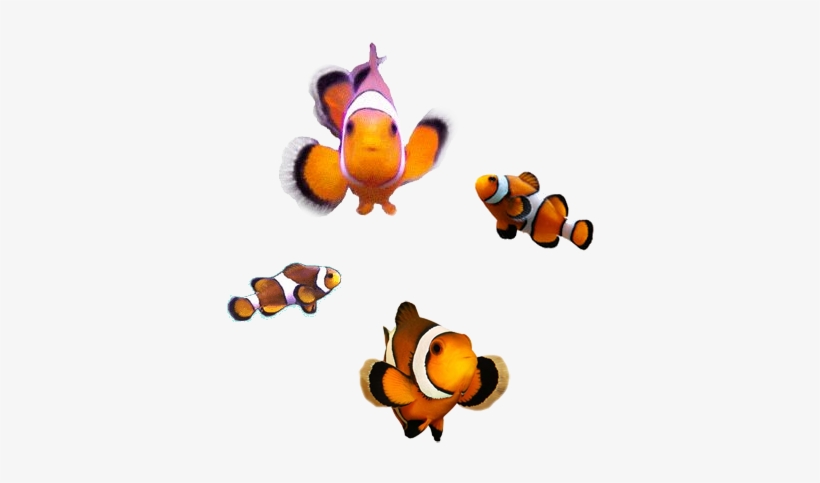 Poeple Slider - Cartoon, transparent png download