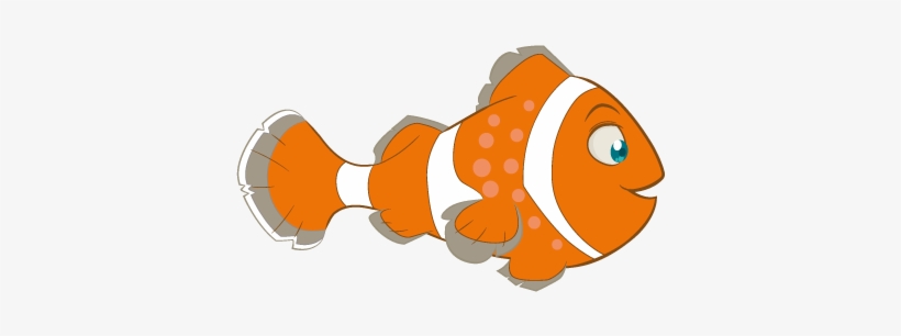 Pez Payaso Club Cañada - Clownfish, transparent png download