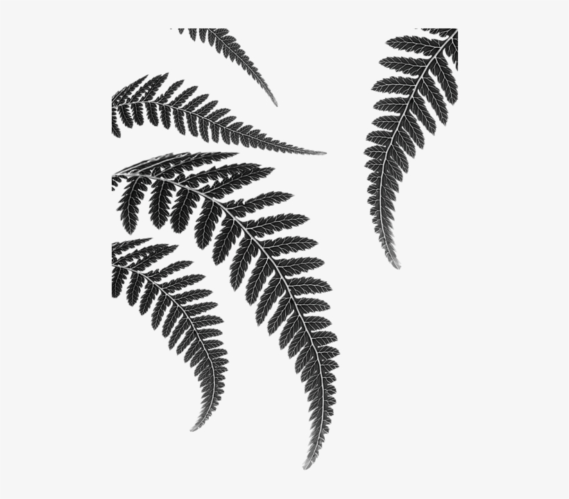 Click And Drag To Re-position The Image, If Desired - Canvas Print, transparent png download