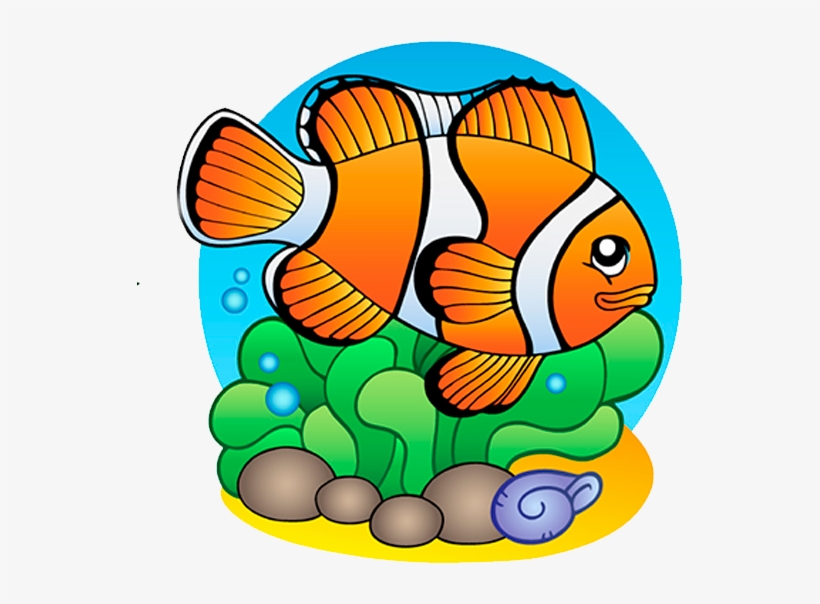 Pez Payaso - Finding Fish & Marine Life Coloring Book, transparent png download