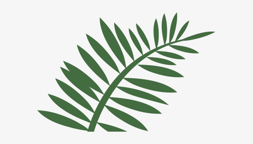 Fern Leaf Shower Curtain, transparent png download