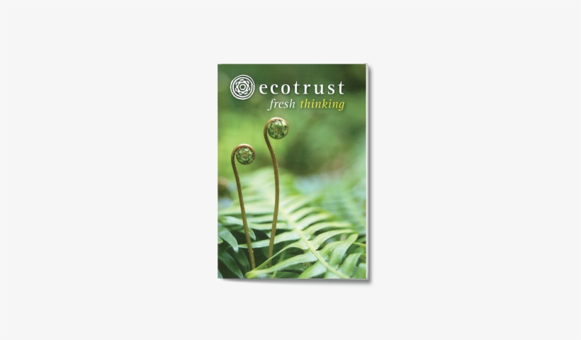 Fresh Thinking - Fern, transparent png download