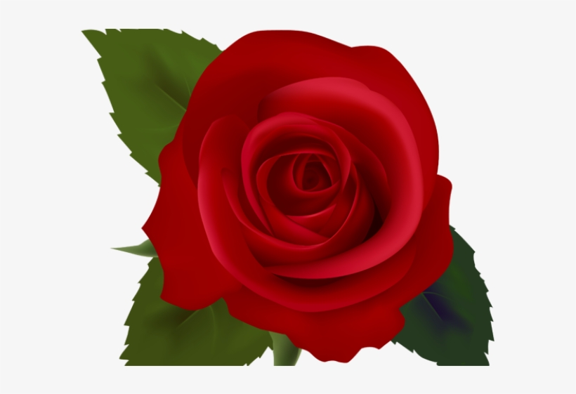 Clip Art, transparent png download