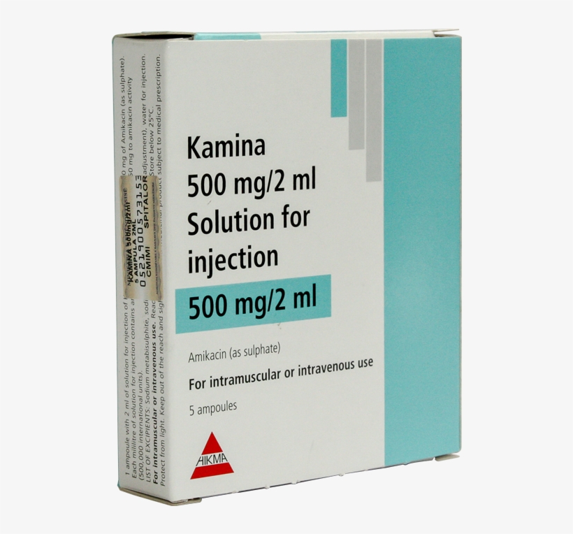 Multimedia Software, transparent png download